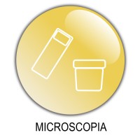 13 Microscopia